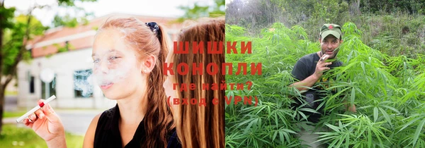 скорость Богородицк