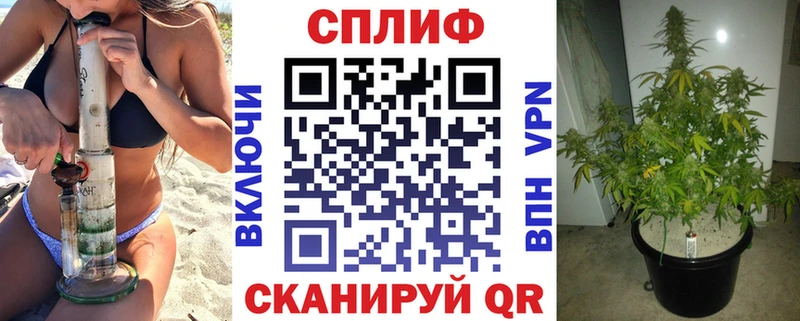 нарко площадка как зайти  Тольятти  Канабис OG Kush 